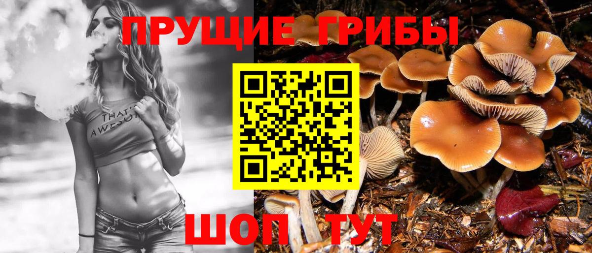 Галлюциногенные грибы Cubensis  Псилоцибиновые грибы Psilocybe  Вход с VPN  Северск 