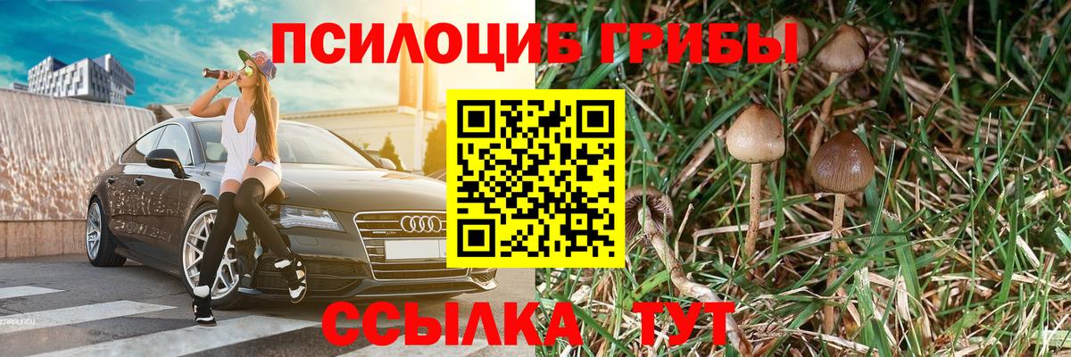Галлюциногенные грибы Magic Shrooms Северск