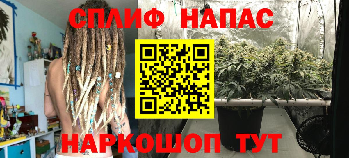 Каннабис ГИДРОПОН  Канабис Bruce Banner  Северск  Вход с VPN 